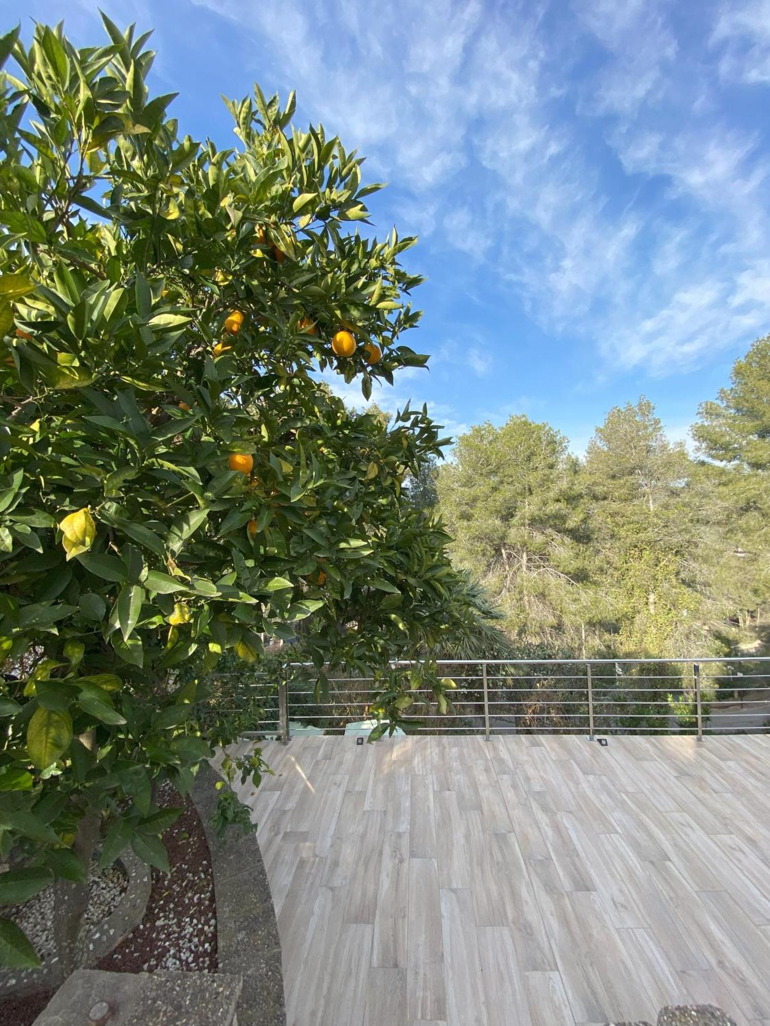 Villa Avril Piscina Privada Y Amplias Terrazas Olivella Eksteriør billede